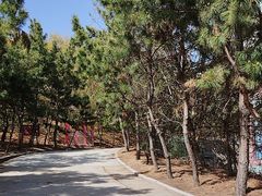 -山东大学(威海校区)