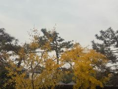 -大慈恩寺(大雁塔)