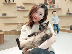 -飞行喵MR PILOT|猫舍·猫咖(静安大融城店)