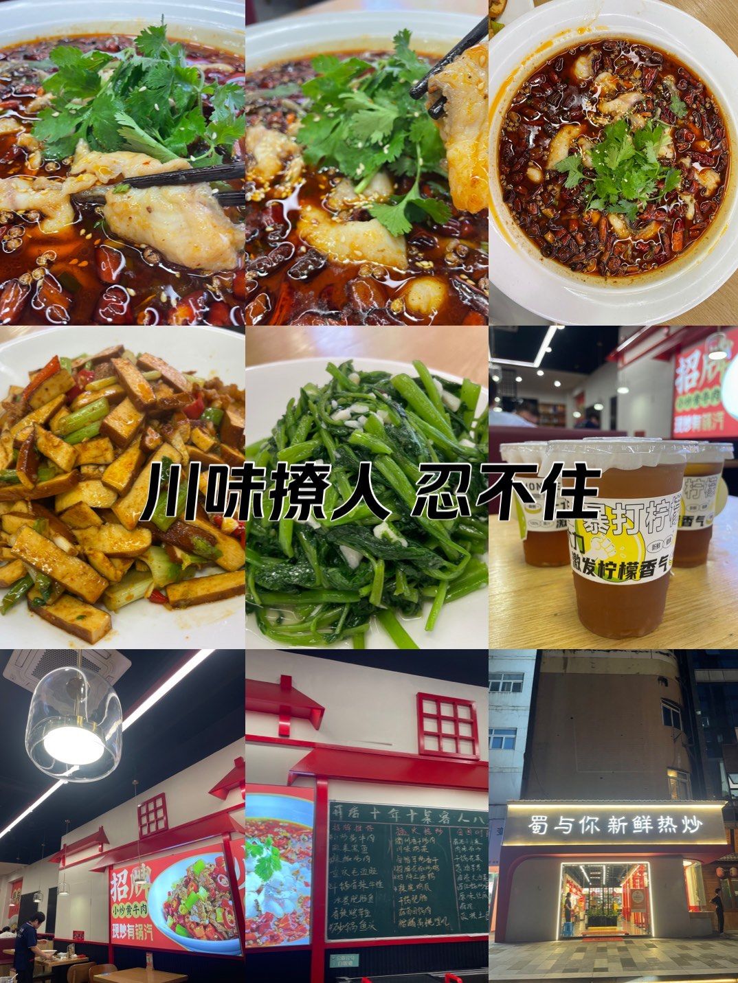 在天一广场附近一带,威斯汀酒店的后面一条街上,美食一条街华润万家