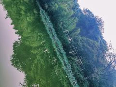 -河南省黄河迎宾馆