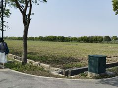 -嘉北郊野公园