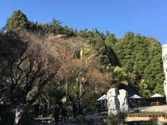 -南诏风情岛