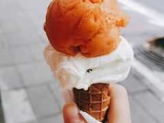 -Dip in Gelato(富民路店)