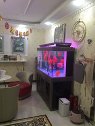 点击看大图 -安院长·产后恢复·徒手骨盆(先天下店)