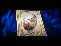 -中影佰纳国际影城DMAX(花都广百广场店)