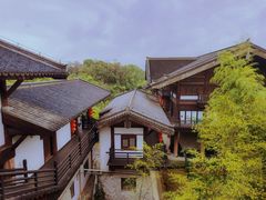 -大唐贡茶院