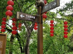 -丰都鬼城名山景区