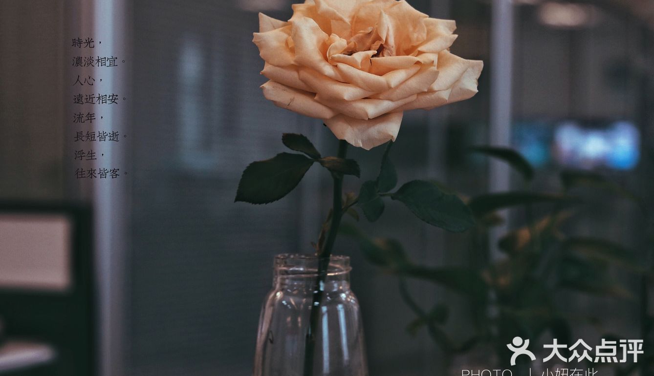 小妞在此 | 今春