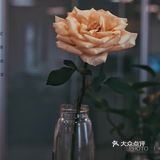 小妞在此 | 今春