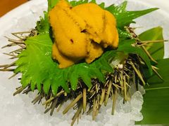 活海胆刺身-有喜屋·深夜食堂(北京西路店)