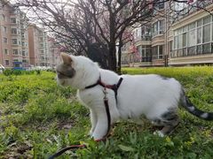 -哈尔滨师范大学(松北校区)