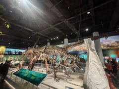 -国家自然博物馆