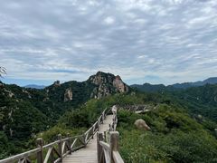 -大岭沟猕猴桃谷风景区