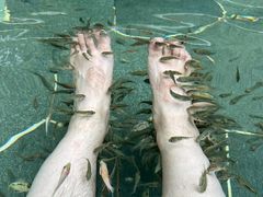 -苏州湾·王焰温泉