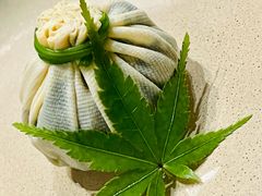 翠素野菜石榴果-明阁
