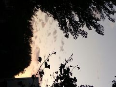 -黑龙江大学