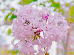 -海棠花溪(元大都城垣遗址公园)