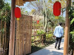 -陶缘一号·四季缘·老字号顺德菜·户外婚礼家宴(西滘店)