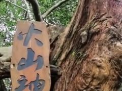 -海口火山口国家地质公园