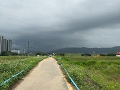 -光明小镇欢乐田园