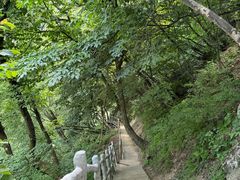 -西安祥峪森林公园