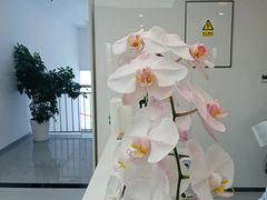 -优诺口腔(华东总院)