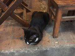 -Hue Ngon Restaurant