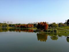 -尚贤河湿地