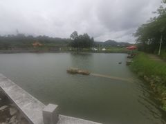 -光明小镇欢乐田园