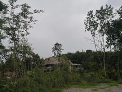 -西双版纳傣族园