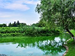 -太阳岛度假酒店