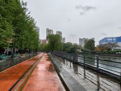-成都市活水公园