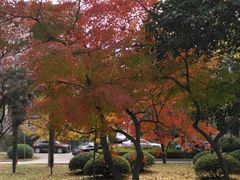 -南京林业大学-图书馆