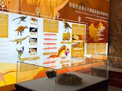 -中国西峡恐龙遗迹园