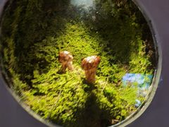 -野·大山里土鸡火锅(万科里店)