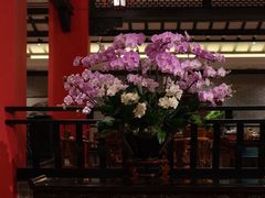 -龙悦湾酒家·八阵鱼生·渔人码头店