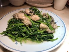 茼蒿炒海蛎子-日丰园海肠水饺·老字号大连海鲜(和平广场店)