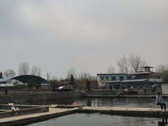 -特种渔场