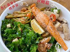 -Green Option(官舍店)