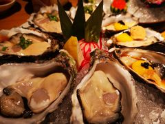 -Hatsune隐泉日式料理(三里屯太古里店)