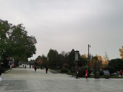 -大雁塔北广场音乐喷泉