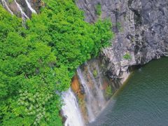 -上海辰山植物园