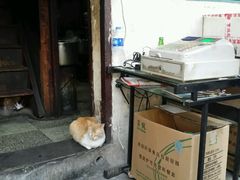 -文庙菜饭(四川北路店)