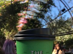 -The Grounds of Alexandria