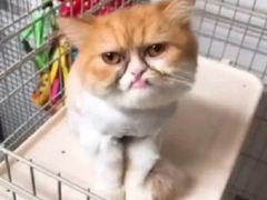 -奇迹健身(SM广场店)