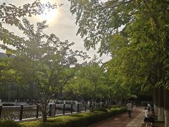 -大连植物园