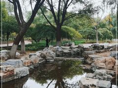 -莲花池公园