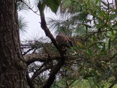 -敬亭山风景名胜区