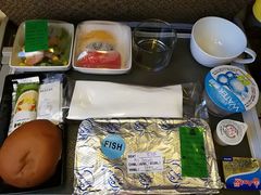 -新加坡航空公司(ION)